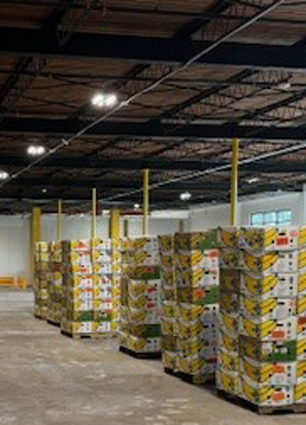 FNEFL Warehouse