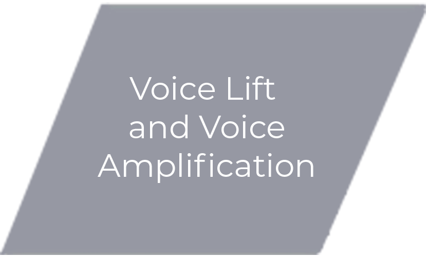 Voice Lift and Voice Amplification Pop Up Button