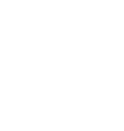VoIP phones