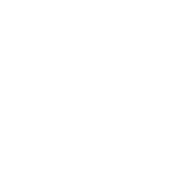 Head of operations