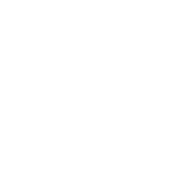 Security personnel