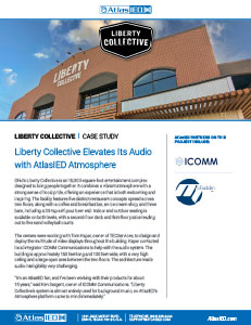 Liberty Collective Case Study PDF preview